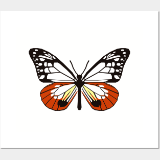 Chestnut Tiger Butterfly Posters and Art